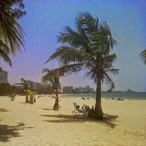 Meet your Posher, Daisy